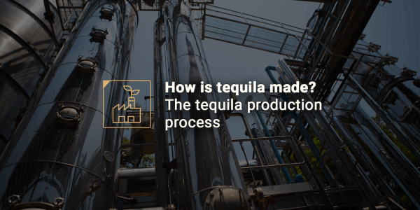How is tequila made How is tequila made