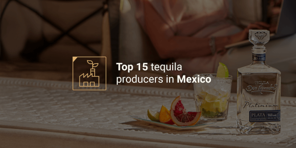 Top tequila producers in Mexico