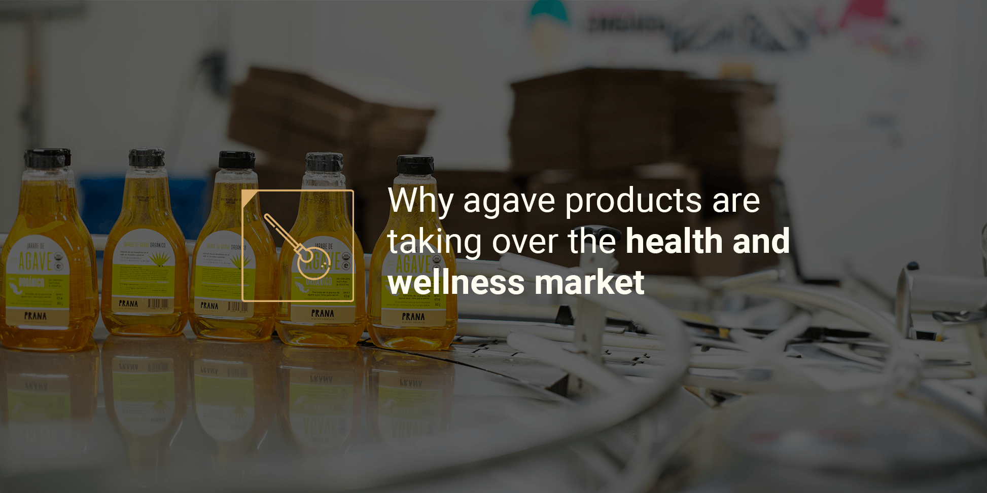 agave in the health and wellness market