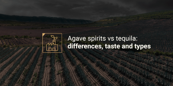 agave spirits vs tequila