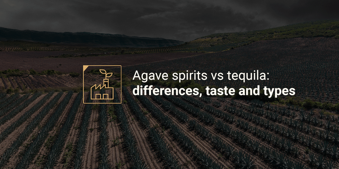 agave spirits vs tequila