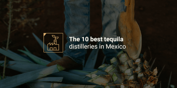 best tequila distilleries in Mexico best tequila distilleries in Mexico