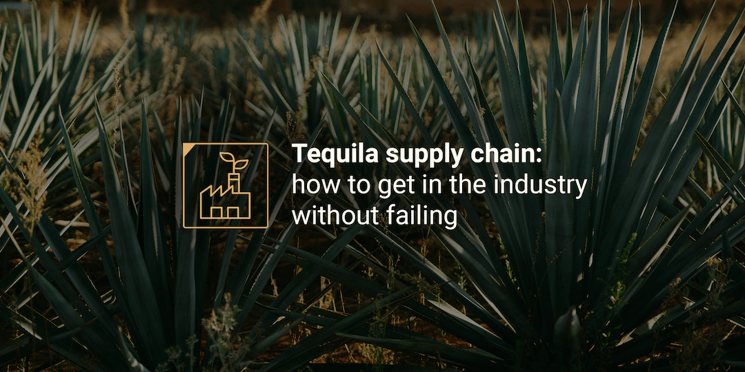 tequila supply chain