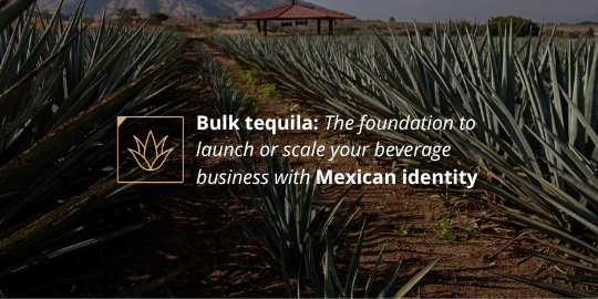 Bulk Tequila The Foundation to Launch or Scale Your Beverage Business with Mexican Identity