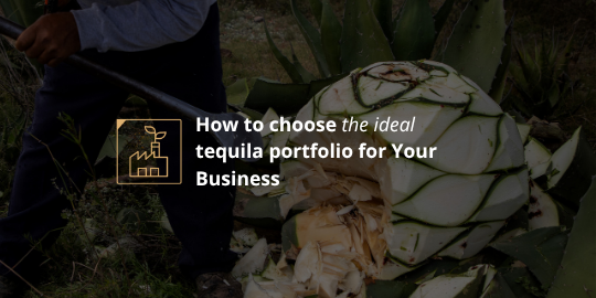 How to choose the ideal tequila portfolio for Your Business