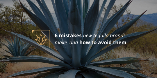 6 mistakes new tequila brands make, and how to avoid them