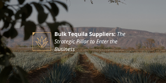 Bulk Tequila Suppliers The Strategic Pillar to Enter the Business