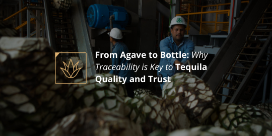 From Agave to Bottle - Why Traceability is Key to Tequila Quality and Trust