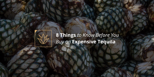 8 Things to Know Before You Buy an Expensive Tequila