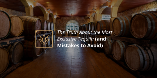 The Truth About the Most Exclusive Tequila (and Mistakes to Avoid)