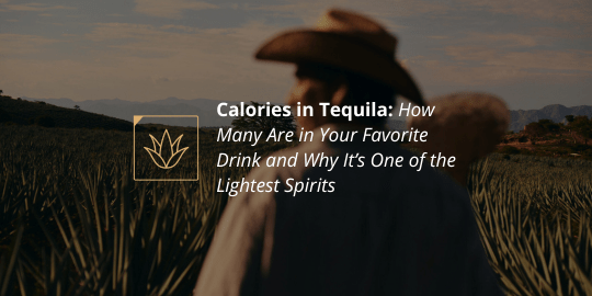 Calories in Tequila: How Many Are in Your Favorite Drink and Why It’s One of the Lightest Spirits