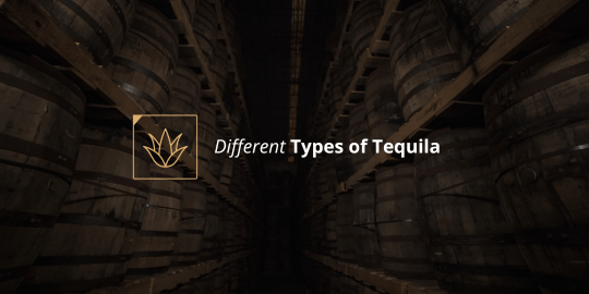 Different Types of Tequila