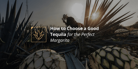 How to Choose a Good Tequila for the Perfect Margarita
