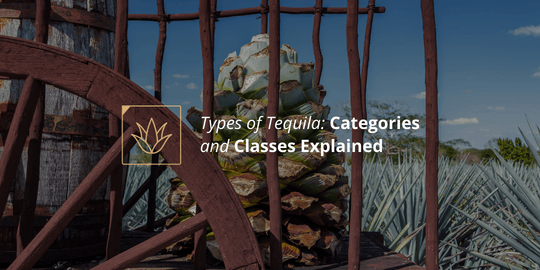 Types of Tequila: Categories and Classes Explained