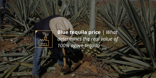 Blue tequila price