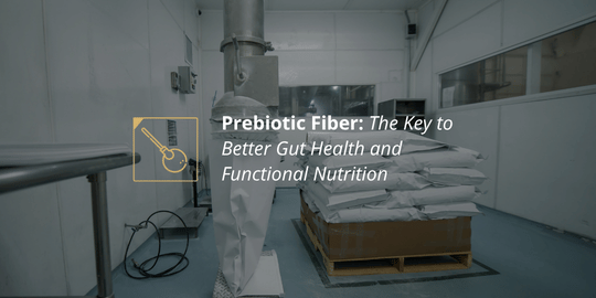Prebiotic Fiber: The Key to Better Gut Health and Functional Nutrition