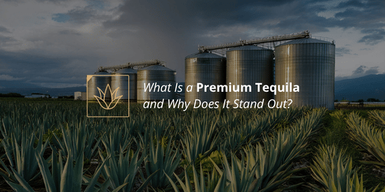 What Is a Premium Tequila and Why Does It Stand Out