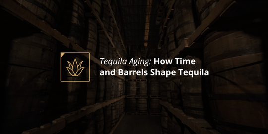 Tequila Aging: How Time and Barrels Shape Tequila